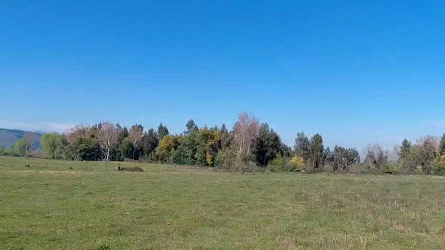 CAMPO AGRÍCOLA EN VENTA, PROPIEDAD AGRÍCOLA DE 20 HA PELARCO