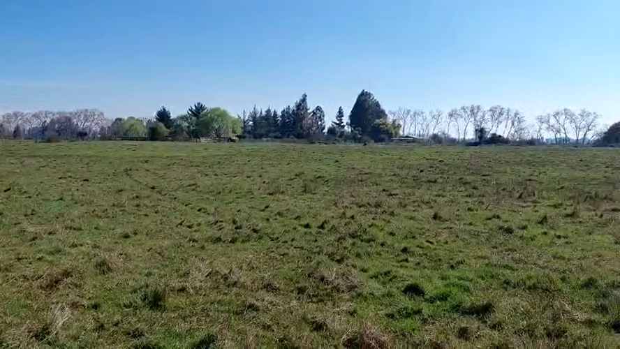 CAMPO AGRÍCOLA EN VENTA, PROPIEDAD AGRÍCOLA DE 20 HA PELARCO