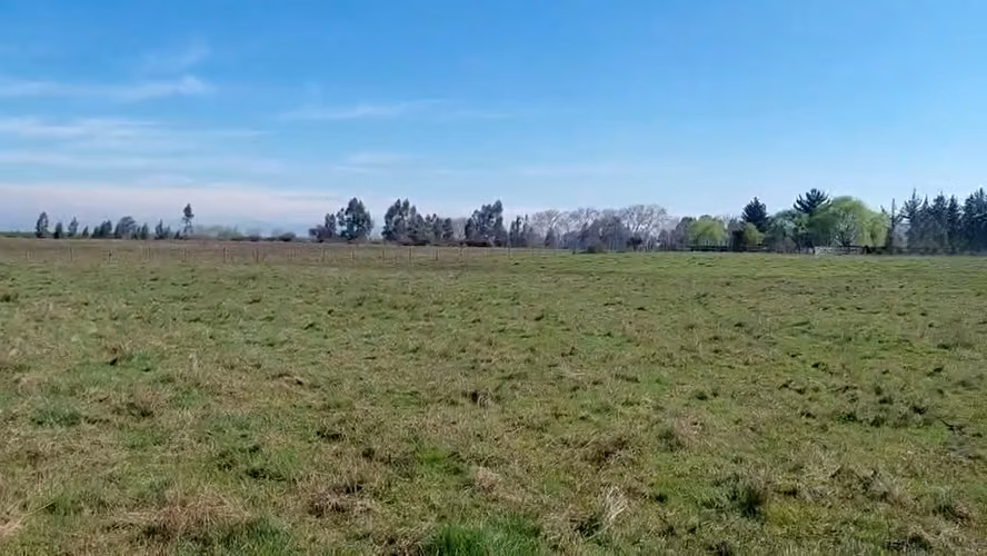 CAMPO AGRÍCOLA EN VENTA, PROPIEDAD AGRÍCOLA DE 20 HA PELARCO