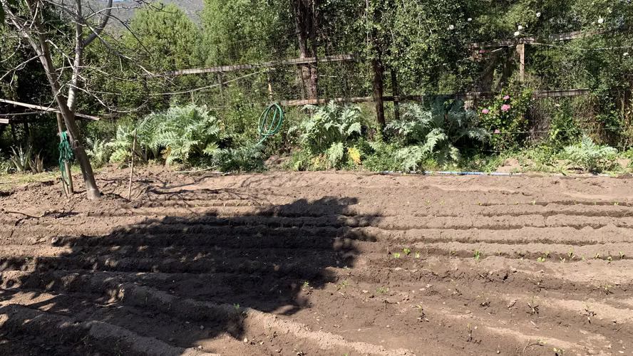 HERMOSA PARCELA DE AGRADO EN ALTOS DEL MAIPO, BUIN