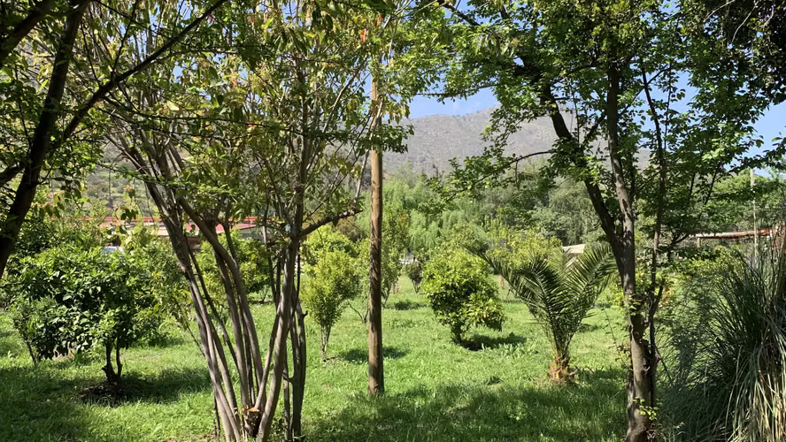 HERMOSA PARCELA EN ALTOS DEL MAIPO, BUIN