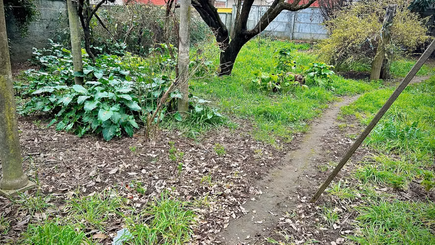 Terreno Amplio para Tu Proyecto Ideal (179671)