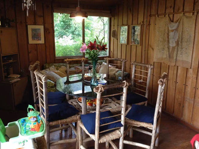 Tres parcelas, casa, piscina, frutales en el Tebal - Imagen 4