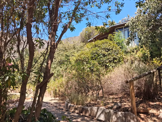 Tres parcelas, casa, piscina, frutales en el Tebal - Imagen 11