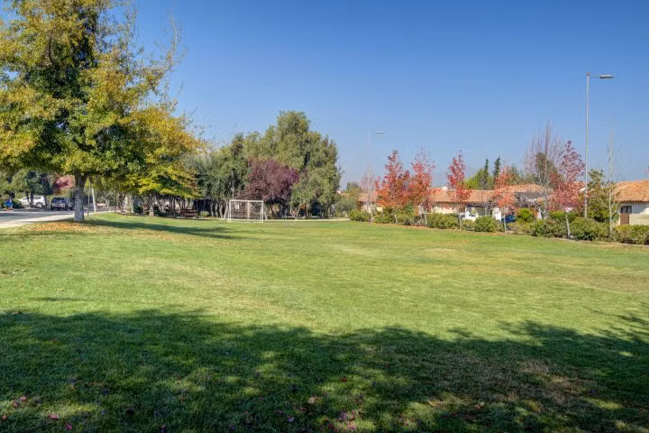 COLEGIO PEDREGALES, SAN ANSELMO, ALEMAN, SAN JOSE, VERBO DIVINO, PIONEROS,ETC.