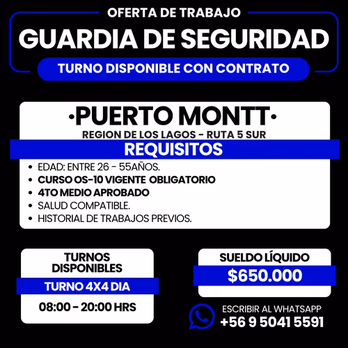 GUARDIA DE SEGURIDAD PUERTO MONTT - SOLO DIA 4X4