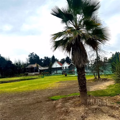 vendo hermosa parcela El Oliveto con Lonquen Sur, Talagante