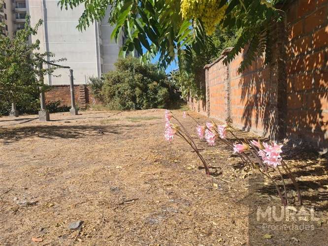 vendo casa quinta vic. mackenna plusvalia alta, La Cisterna - Imagen 12