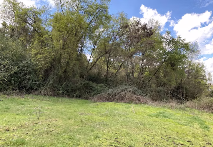 EN VENTA 4 LOTES  VIVE EN LA PRECORDILLERA - Imagen 3