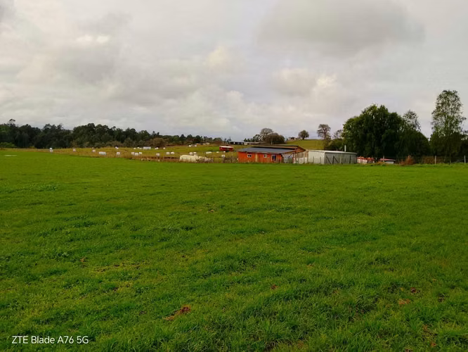 CAMPO SECTOR LAS QUEMAS (179726)