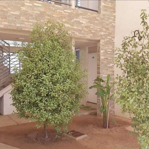 Vendo depto en Condominio Vista Mar El Tabo (179731)
