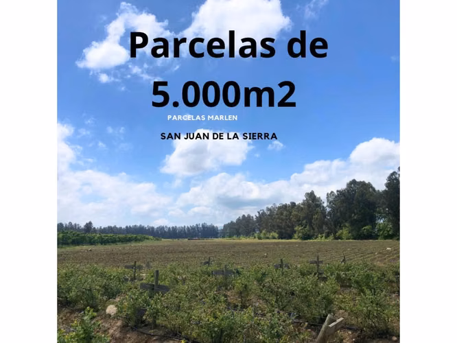 Vendo terrenos Agricolas en San Fernando