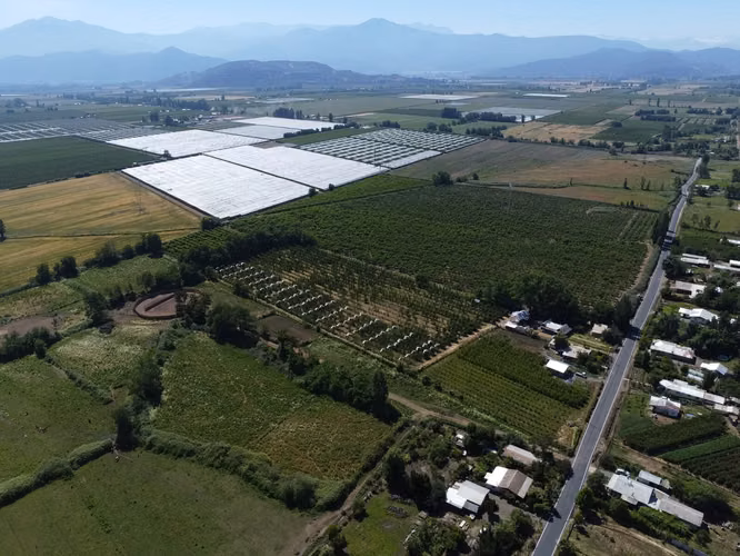 Vendo  Parcelas planas en Teno Huertos El Cisnes ,Curico