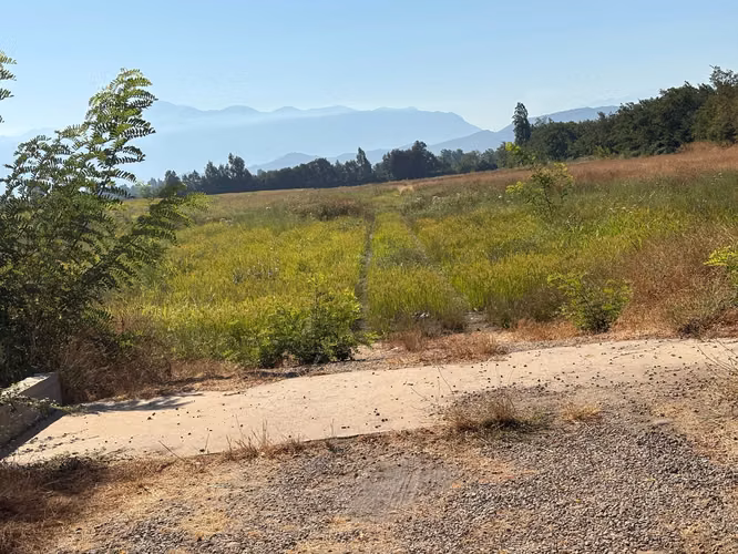VENDO  PARCELAS EN CRUCE TINGUIRIRICA CON LUZ Y AGUA POTABLE DE APR