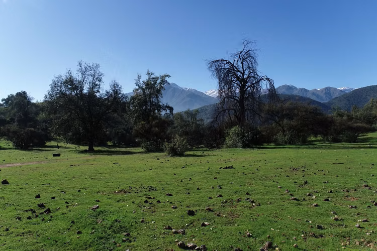 Proyecto nuevo De Parcelas Planas En Codegua Sector La Leonera