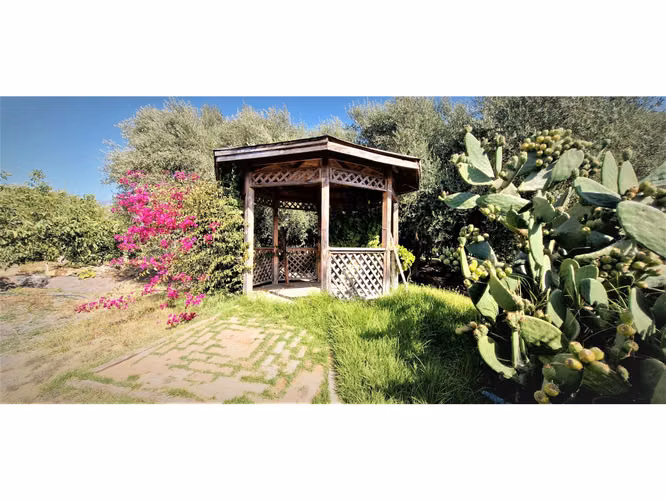 Venta de parcela de 5.000 m2., en venta en San Isidro, Quillota. Árboles  en producción. 3.139 UF