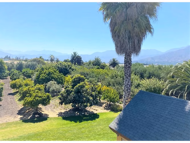Venta de parcela de 5.000 m2., en venta en San Isidro, Quillota. Árboles  en producción. 3.139 UF