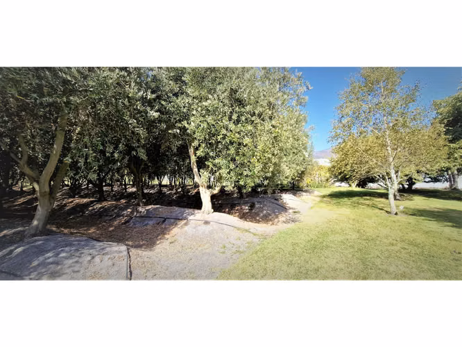 Venta de parcela de 5.000 m2., en venta en San Isidro, Quillota. Árboles  en producción. 3.139 UF