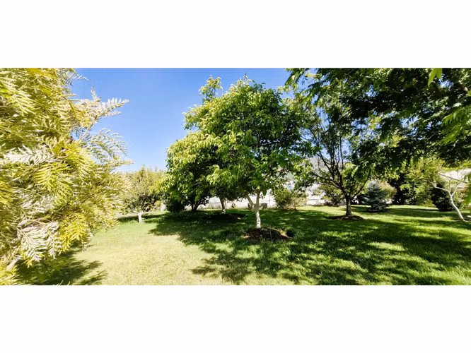 Venta de parcela de 5.000 m2., en venta en San Isidro, Quillota. Árboles  en producción. 3.139 UF