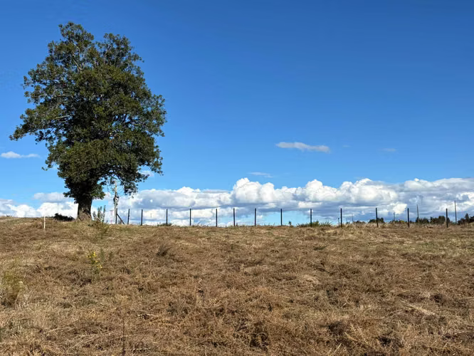 Parcelas en venta en Llanquihue (179748)