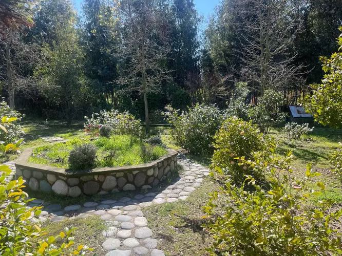 Inversión Ideal en Terreno Amplio (179749)
