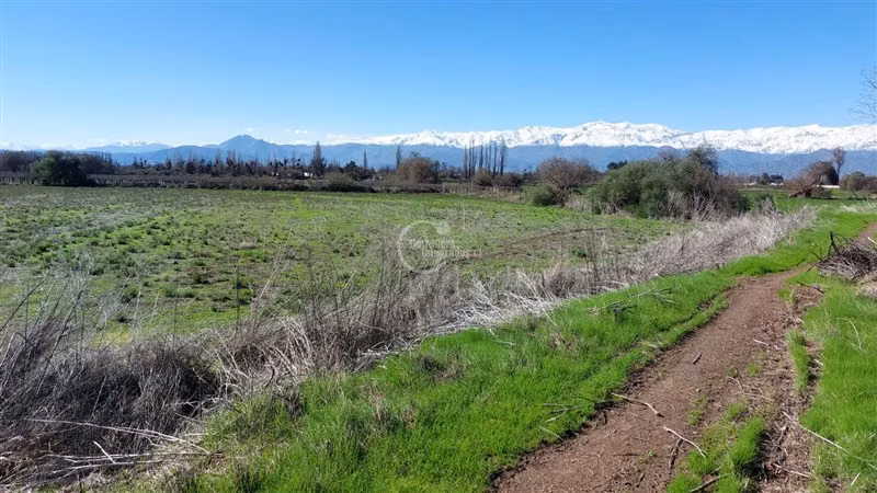Agrícola en venta en Rinconada - Imagen 4