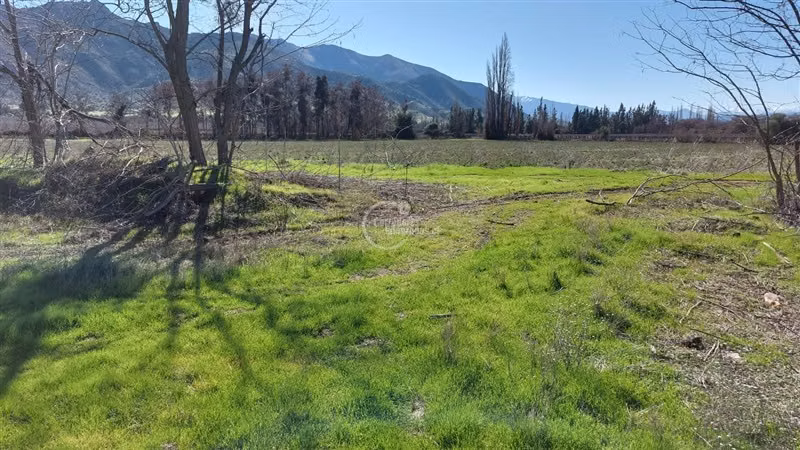 Agrícola en venta en Rinconada
