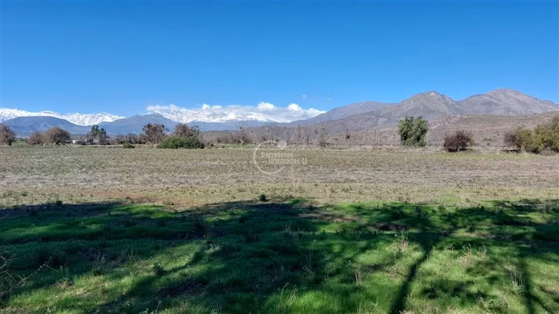Agrícola en venta en Rinconada - Imagen 8
