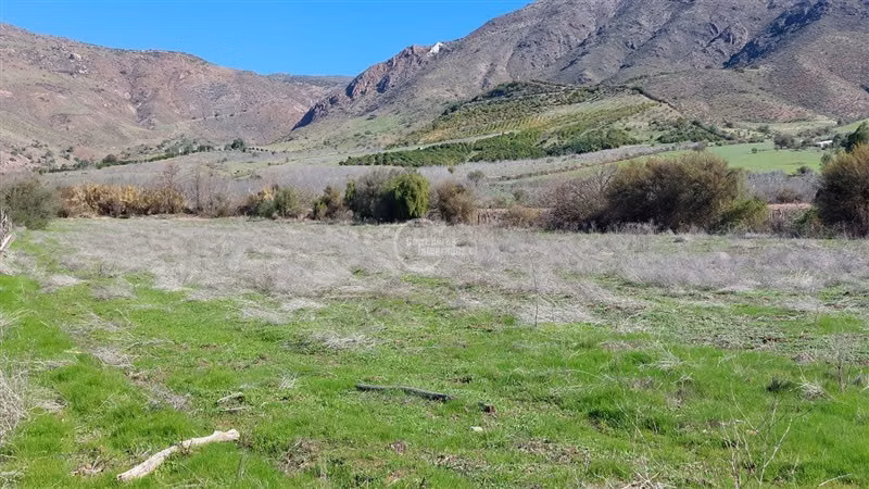Agrícola en venta en Rinconada - Imagen 6