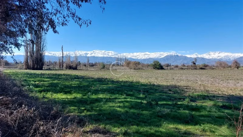 Agrícola en venta en Rinconada - Imagen 7
