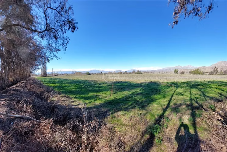 Agrícola en venta en Rinconada - Imagen 9