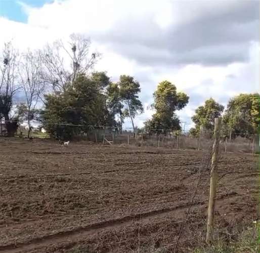 Oportunidad Parcela en venta en Pelarco - Imagen 8