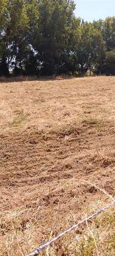 Oportunidad Parcela en venta en Pelarco - Imagen 6
