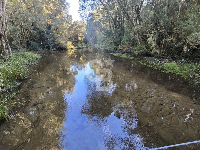 Paraíso Natural: 4.5 Ha en Las Quemas, Orilla Río Maullin - Imagen 15