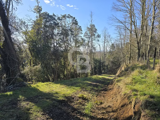 Paraíso Natural: 4.5 Ha en Las Quemas, Orilla Río Maullin - Imagen 14