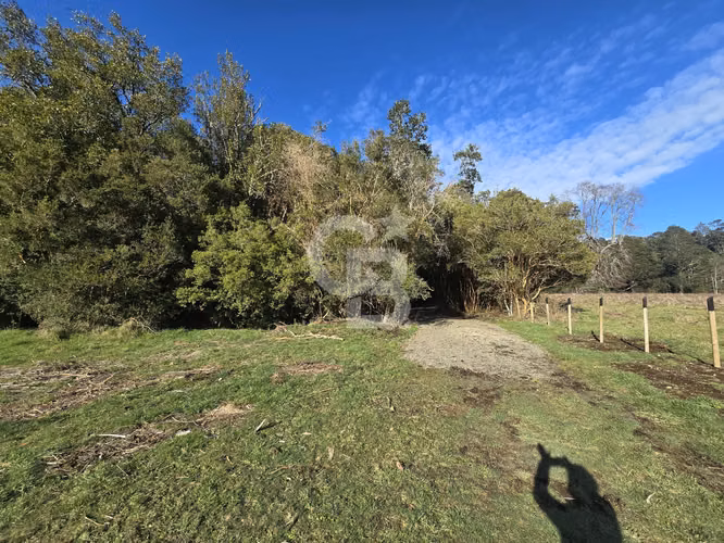 Paraíso Natural: 4.5 Ha en Las Quemas, Orilla Río Maullin - Imagen 11