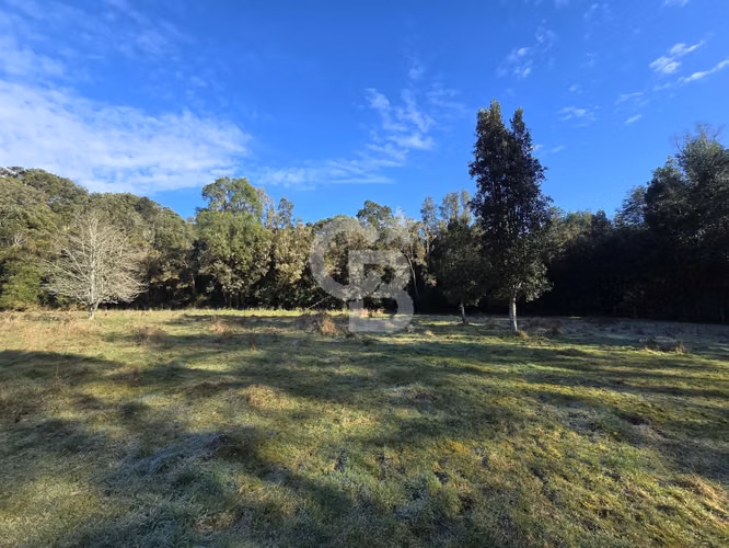 Paraíso Natural: 4.5 Ha en Las Quemas, Orilla Río Maullin - Imagen 16