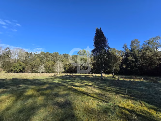 Paraíso Natural: 4.5 Ha en Las Quemas, Orilla Río Maullin - Imagen 19