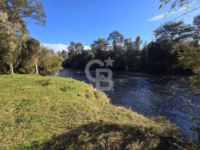 Paraíso Natural: 4.5 Ha en Las Quemas, Orilla Río Maullin - Imagen 4