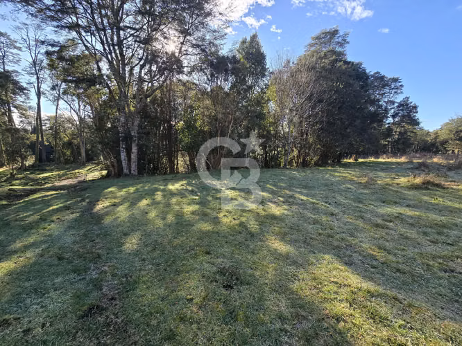 Paraíso Natural: 4.5 Ha en Las Quemas, Orilla Río Maullin - Imagen 8