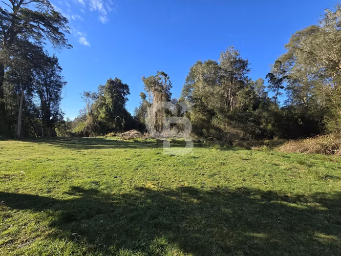 Paraíso Natural: 4.5 Ha en Las Quemas, Orilla Río Maullin - Imagen 7