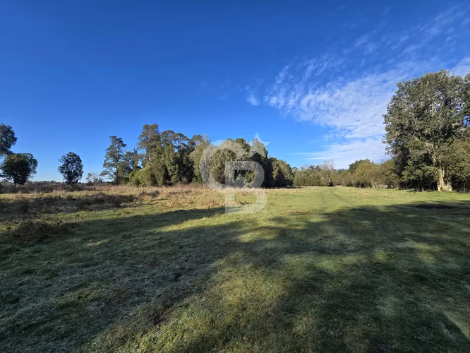 Paraíso Natural: 4.5 Ha en Las Quemas, Orilla Río Maullin - Imagen 9