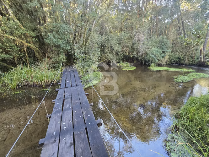 Paraíso Natural: 4.5 Ha en Las Quemas, Orilla Río Maullin - Imagen 18