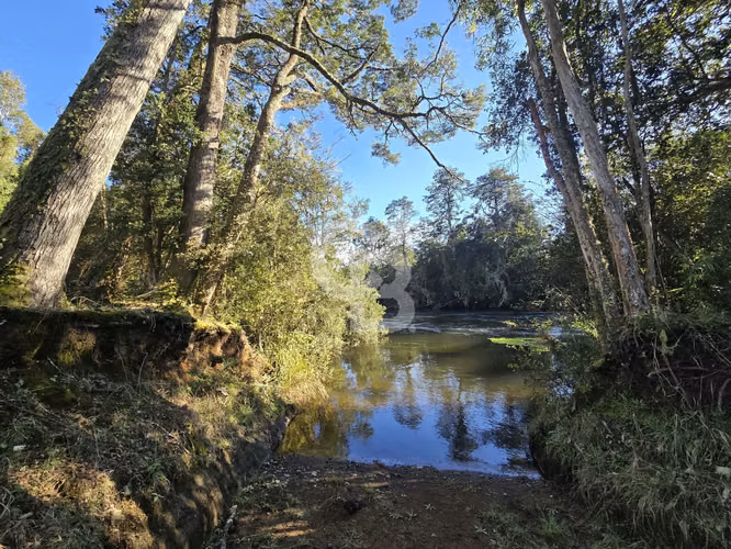 Paraíso Natural: 4.5 Ha en Las Quemas, Orilla Río Maullin - Imagen 2