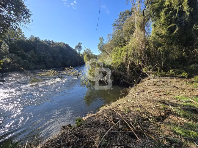 Paraíso Natural: 4.5 Ha en Las Quemas, Orilla Río Maullin - Imagen 5