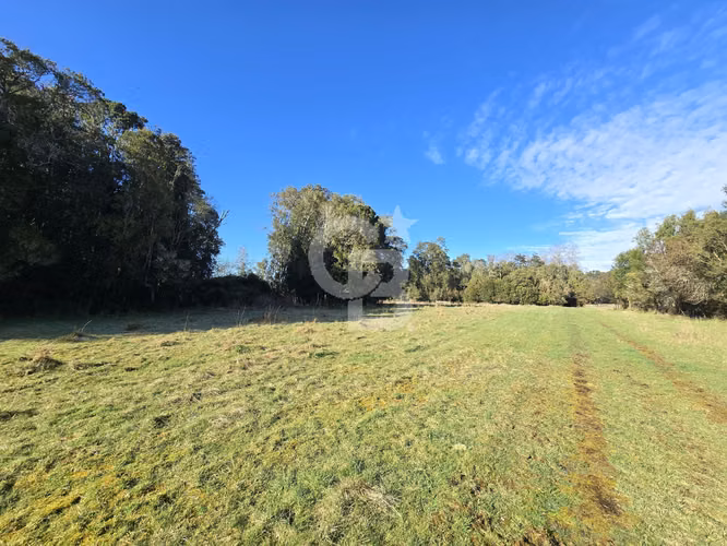 Paraíso Natural: 4.5 Ha en Las Quemas, Orilla Río Maullin - Imagen 10