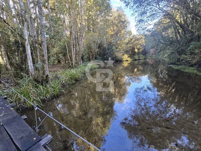 Paraíso Natural: 4.5 Ha en Las Quemas, Orilla Río Maullin - Imagen 13
