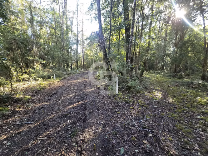 Paraíso Natural: 4.5 Ha en Las Quemas, Orilla Río Maullin - Imagen 12