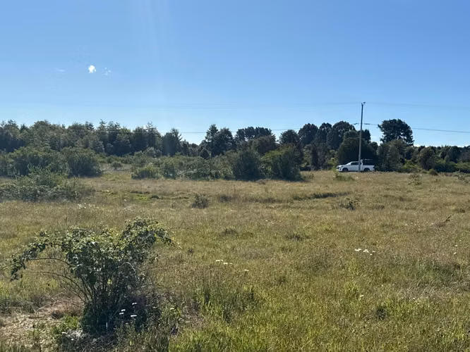 Venta Parcela 5.000 m² / Agua y Luz / Sector Aeropuerto El Tepual / Puerto Montt