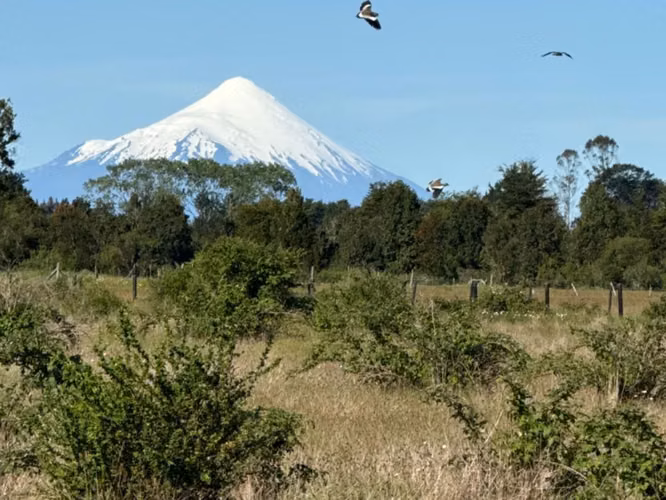 Venta Parcela 5.000 m² / Agua y Luz / Sector Aeropuerto El Tepual / Puerto Montt